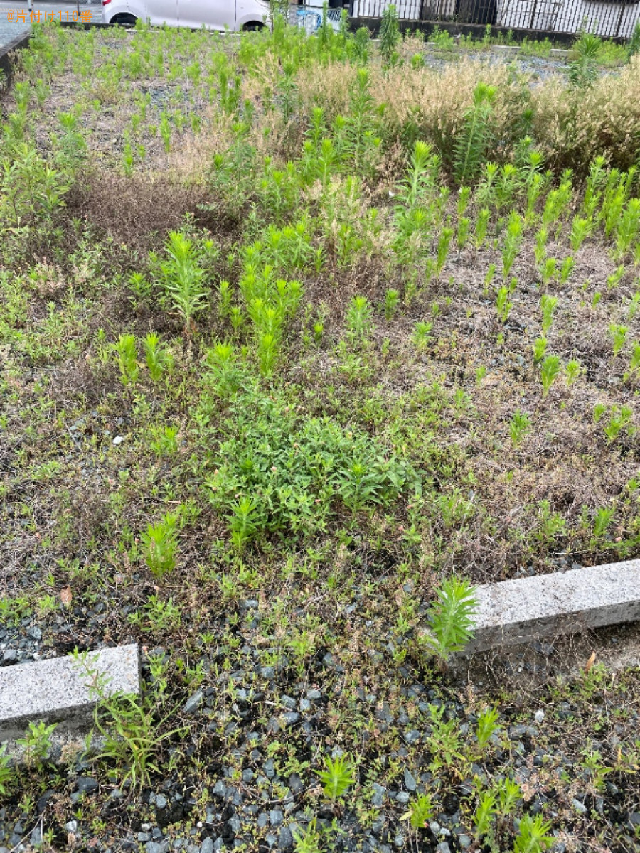 草抜き作業ご依頼　お客様の声